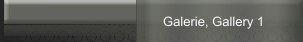 Galerie, Gallery 1